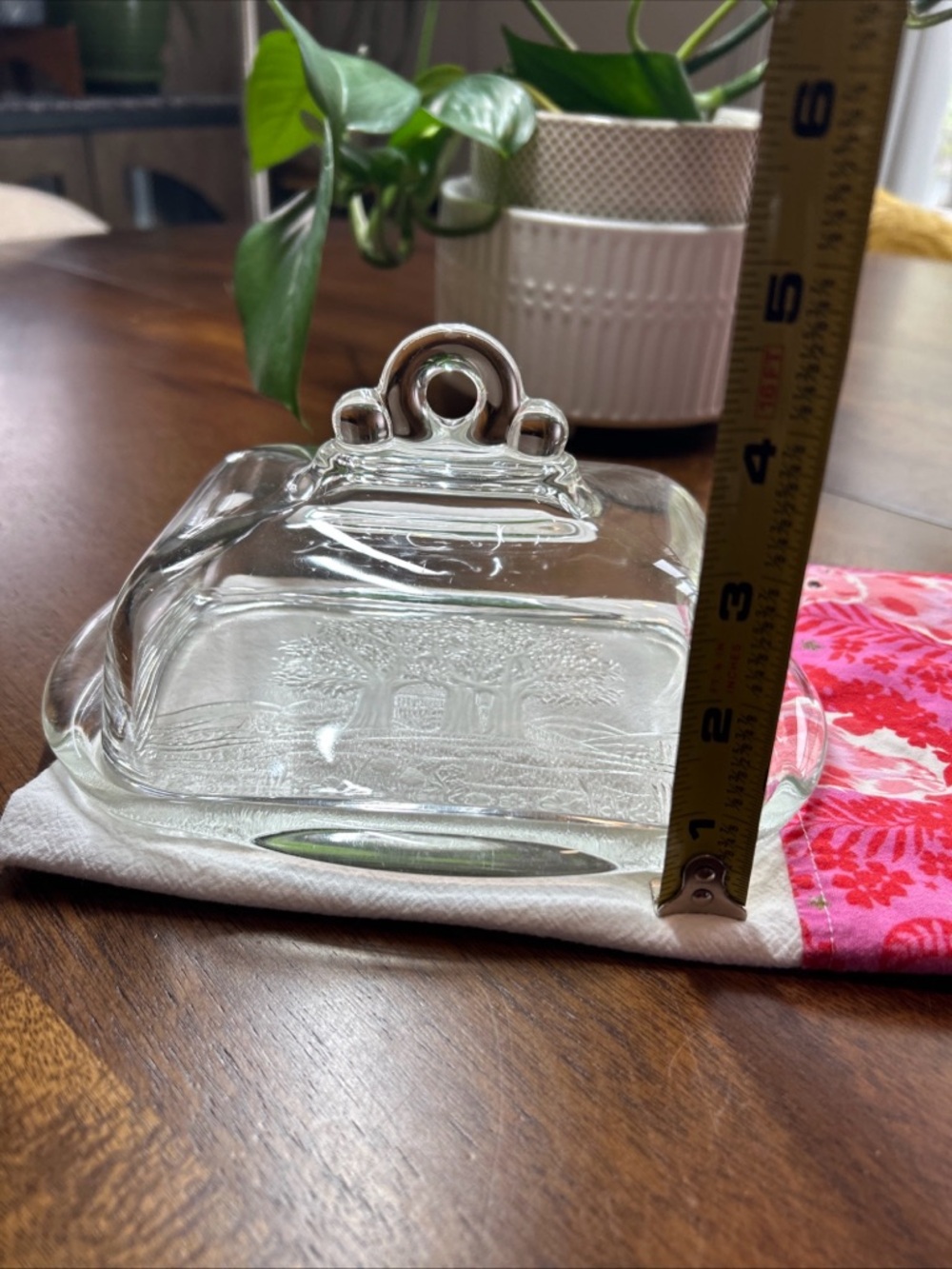 Clear Glass Butter Dish with Embossed Tree Design and cover with handle - Picture 6 of 6